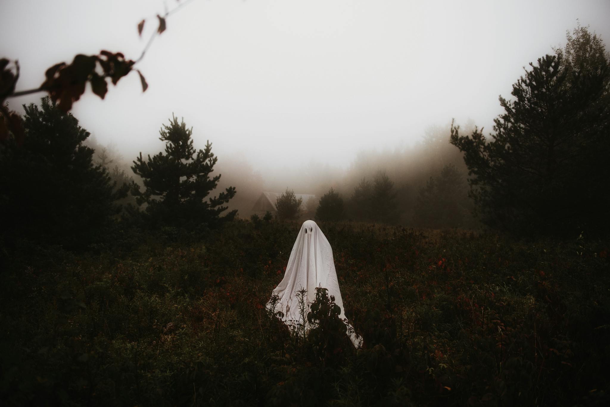 A haunting figure in a white sheet appears like a ghost in a misty, atmospheric forest landscape.